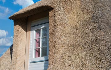 Weaste thatch roof disadvantages